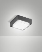 LED Deckenleuchte Aluminium IP65 3000K Dunkelgrau