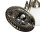 Wandleuchte Jugendstil elegant in Messing LOUIS