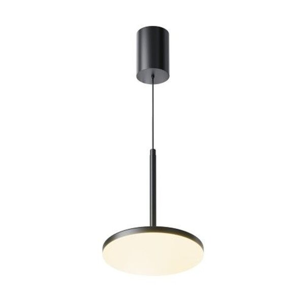 LED Hängelampe Metall Schwarz Ø18,5 cm 3000 K blendarm