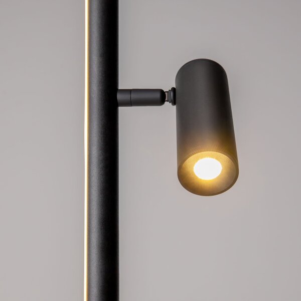 LED Stehlampe dimmbar Schwarz 155 cm 3000 K flexibel