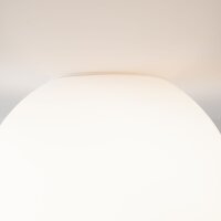 LED Pendelleuchte Spider Glas B:20 cm 3000 K flexibel