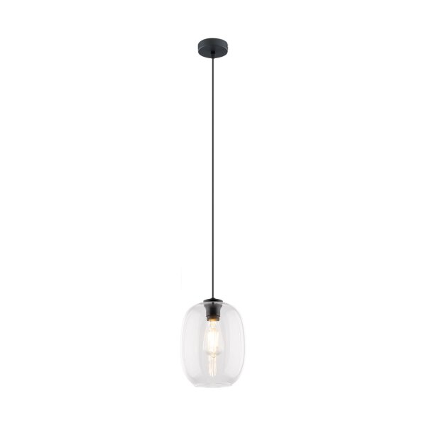 Pendelleuchte Glas Transparent E27 B:20 cm modern Stahl