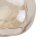 Wandleuchte Metall Braun B:15 cm G9 Glas Cognac