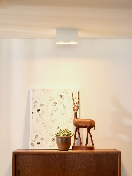Aufbauspot Aluminium Weiß GU10 2-flammig modern