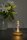 LED Tischleuchte Glas Metall Messing 2700 K H:17 cm