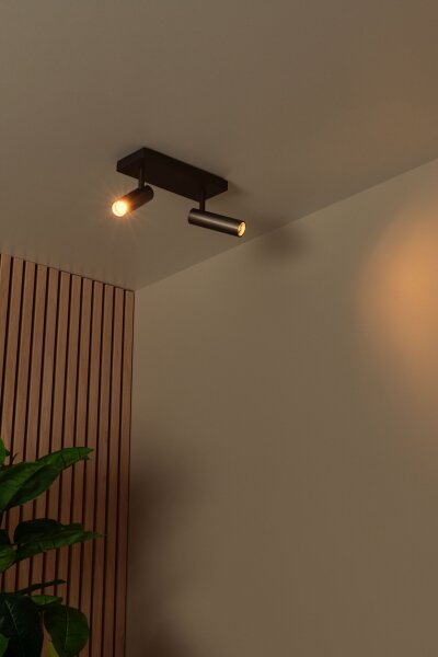 Deckenspot Aluminium Grau 2-flammig GU10 modern