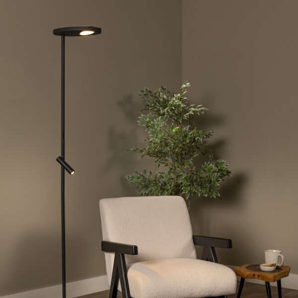 LED Stehlampe Metall Schwarz 2700 K H:177 cm edel