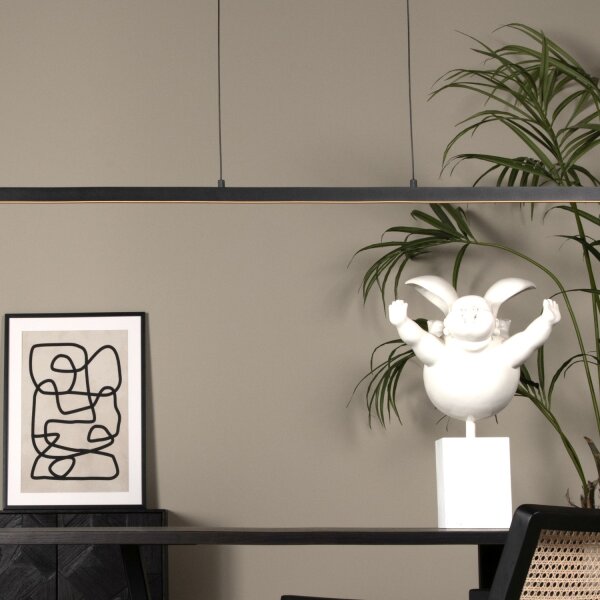 LED Pendelleuchte Metall Schwarz 2700 K L:147 cm