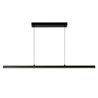 LED Pendelleuchte Metall Schwarz 2700 K L:147 cm