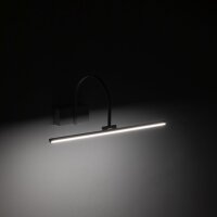 LED Bilderleuchte Aluminium Weiß 3000 K 45 cm lang