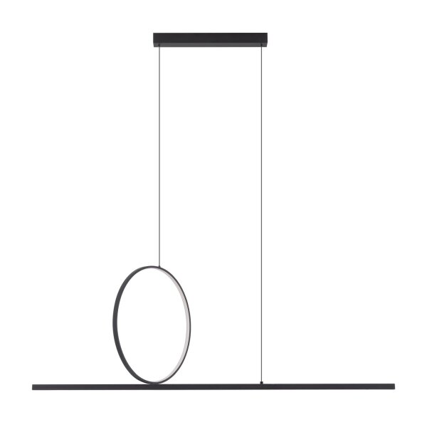 LED Pendelleuchte Schwarz 3000 K L:115 cm lang