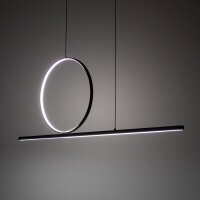 LED Pendelleuchte Schwarz 3000 K L:115 cm lang