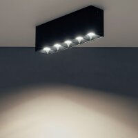 LED Deckenleuchte Schwarz 4000 K L:19 cm lang Modern