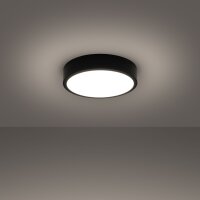 LED Deckenleuchte Aluminium Schwarz 3000 K L:30 cm rund
