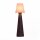 LED Akku Stehlampe dimmbar IP65 3000-6500 K Anthrazit