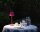 LED Akku Tischleuchte dimmbar Magenta CCT 6000 K OSRAM