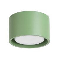 Deckenleuchte Aluminium Salbei GX53 &Oslash;10 cm modern