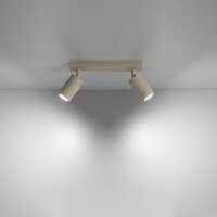 Deckenspot flexibel 2-flammig Stahl Taupe GU10 L:30 cm