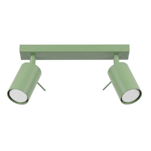 Deckenspot verstellbar 2-flammig Stahl GU10 L:30 cm