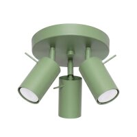 Deckenspot schwenkbar Stahl Salbei GU10 L:25,7 cm
