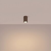 Aufbaustrahler Aluminium Braun GU10 Ø6,5 cm blendarm