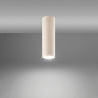 Aufbauspot Stahl Beige GU10 H:20 cm blendarm lang