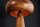 Tischleuchte Holz Eisen 36 cm klein E14 Natur Retro Pilz