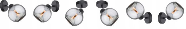 Wandspot schwenkbar Rauchglas Schwarz E27 T:20 cm