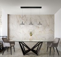 LED Hängelampe 2700/3000/4000K Rauchglas Schwarz