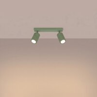 Deckenspot schwenkbar Aluminium Salbei GU10 L:30cm