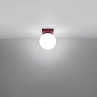 Deckenlampe Glas Stahl Burgund satiniert G9 B:12cm