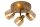 LC77979/13/02 - Spot/Strahler SKEKE
