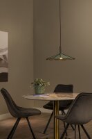 LED Hängelampe Holz Schwarz Grün 2700K...