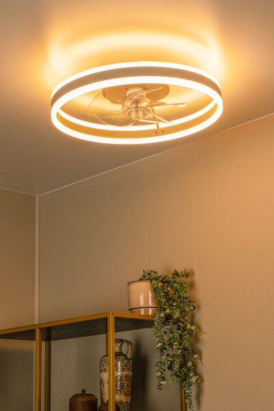 LED Deckenventilator mit Licht dimmbar Taupe 2700-4000K