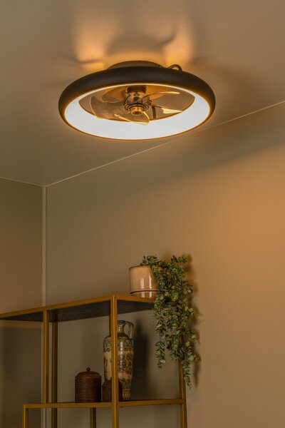 LED Deckenventilator Licht dimmbar Schwarz 2700-4000K
