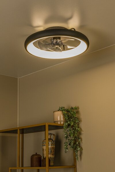 LED Deckenventilator Licht dimmbar Schwarz 2700-4000K