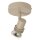 LC53901/01/41 - Spot/Strahler FRENU