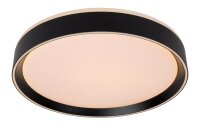 LED Deckenlampe dimmbar blendarm Schwarz 2700K &Oslash;40 cm