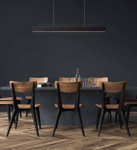 LED Hängelampe Up Down Metall Schwarz 2700K L:119 cm