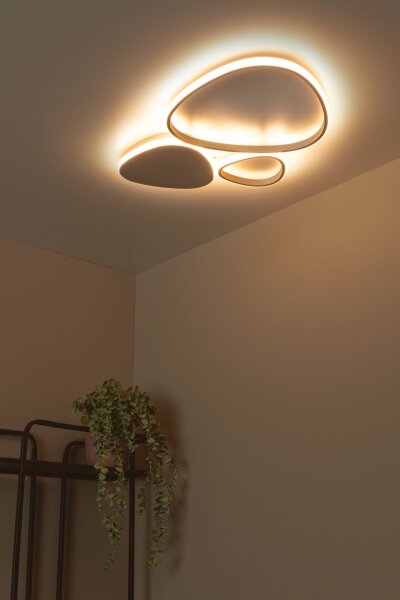 LED Deckenleuchte Taupe CCT 2700-4000K L:62 cm modern