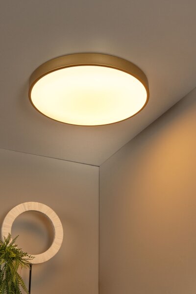 LED Deckenlampe dimmbar blendarm Messing 2700K Ø49,5 cm