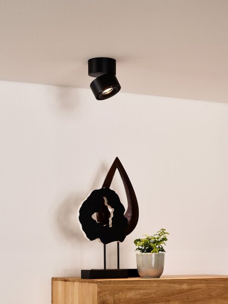 LED Deckenlampe schwenkbar Schwarz 2700K Ø7,8 cm