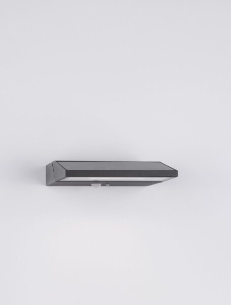 LED Außenwandleuchte IP65 18 cm breit Anthrazit Glas BEALE