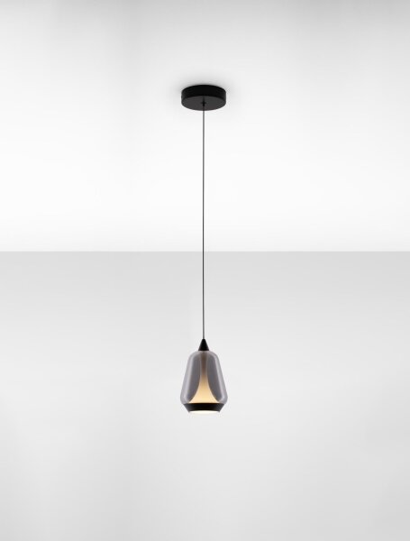 LED Hängelampe Schwarz 12 cm breit Glas warmweiß COLLINS