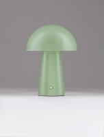 Moderne LED Nachttischlampe Akku Grün 22 cm Touch...