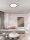 LED Deckenleuchte Schwarz Ø 60 cm dimmbar flach CCT 4661 lm