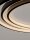 LED Deckenlampe Ring Ø 54 cm Schwarz dimmbar 3 flammig flach