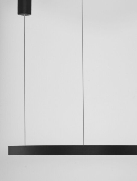 LED Hängeleuchte Schwarz Ø 80 cm dimmbar höhenverstellbar