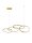 LED Pendelleuchte Ring 100 cm lang in Gold dimmbar Design