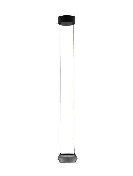 LED Pendelleuchte Ø 14 cm Schwarz höhenverstellbar Rauchglas